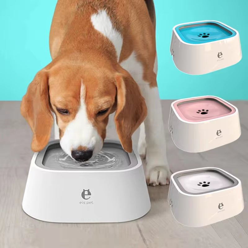 BB pets bowl